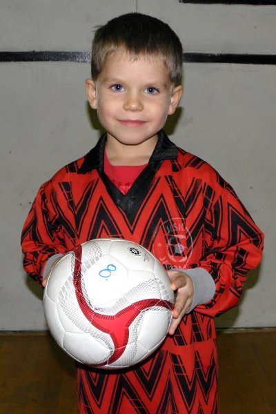 bedlek david